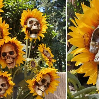 Sunflower Skulls