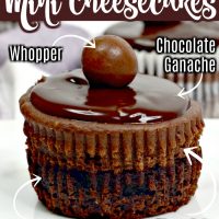 Triple Chocolate Mini Cheesecakse