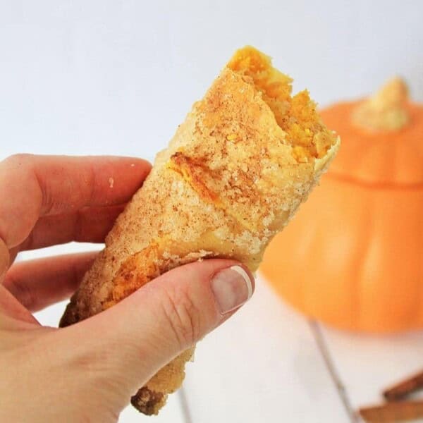 Pumpkin Air Fryer Cheesecake Egg Rolls