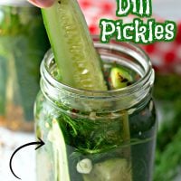 The BEST Refrigerator Dill Pickles Pinterest
