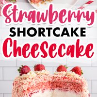 Strawberry Shortcake Cheesecake is quite honestly the best dessert ever made. It's got layers of fresh strawberry cake, white chocolate cheesecake with fresh strawberries and a wafer cookie crumble topping the homemade vanilla frosting. 