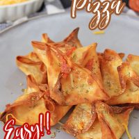 Pepperoni Pizza Won Tons made in the Air Fryer