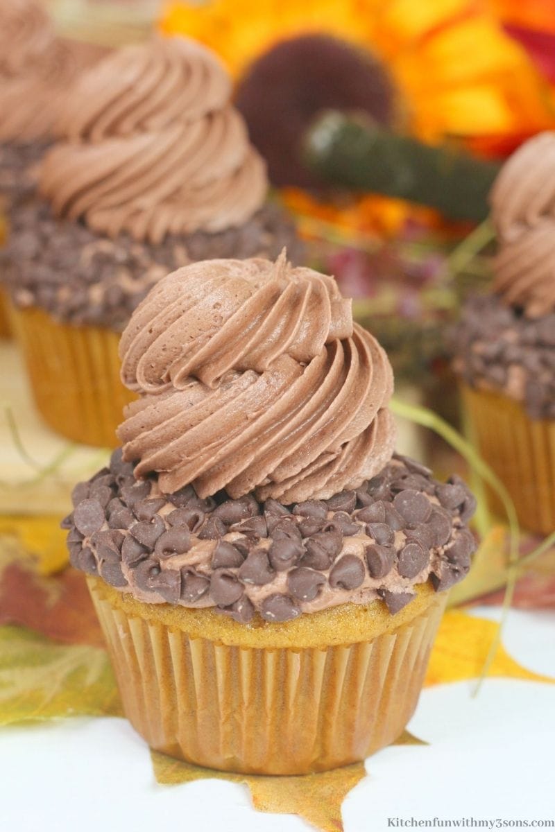 A pumpkin chocolate chip cupcakes with chocolate frosting