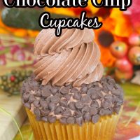 Pumpkin Chocolate Chip Cupcakes pin