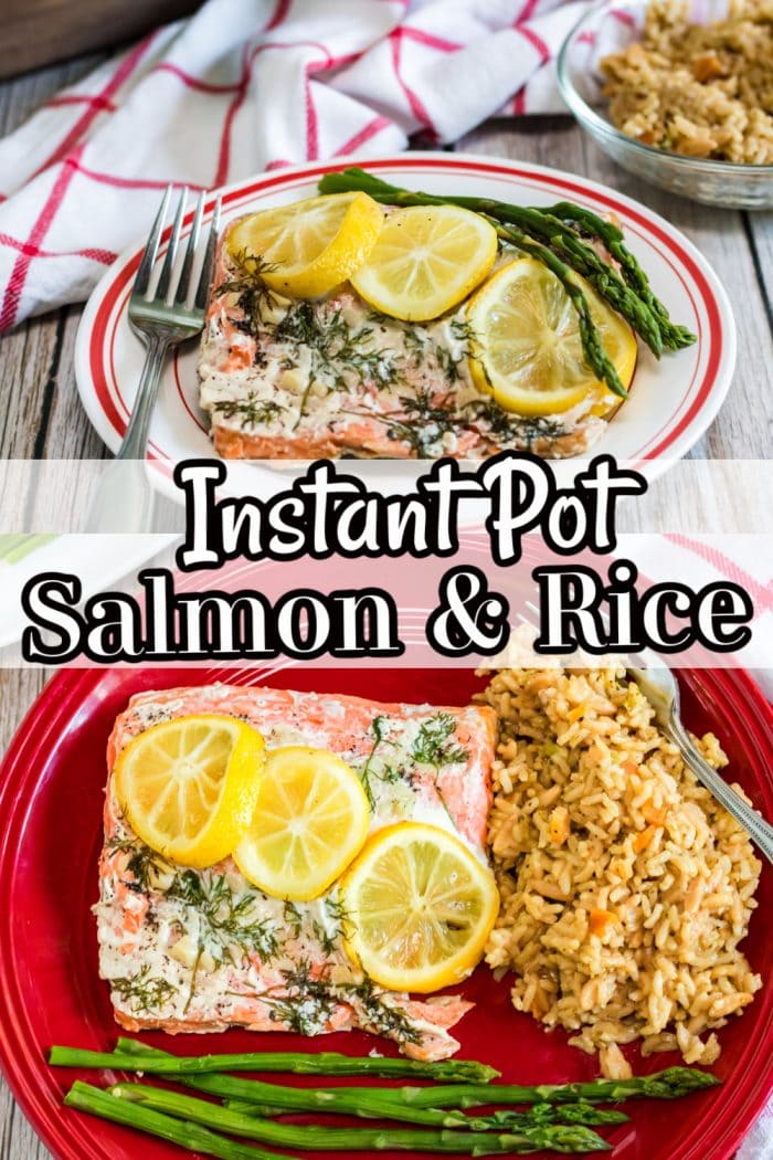 salmon and rice