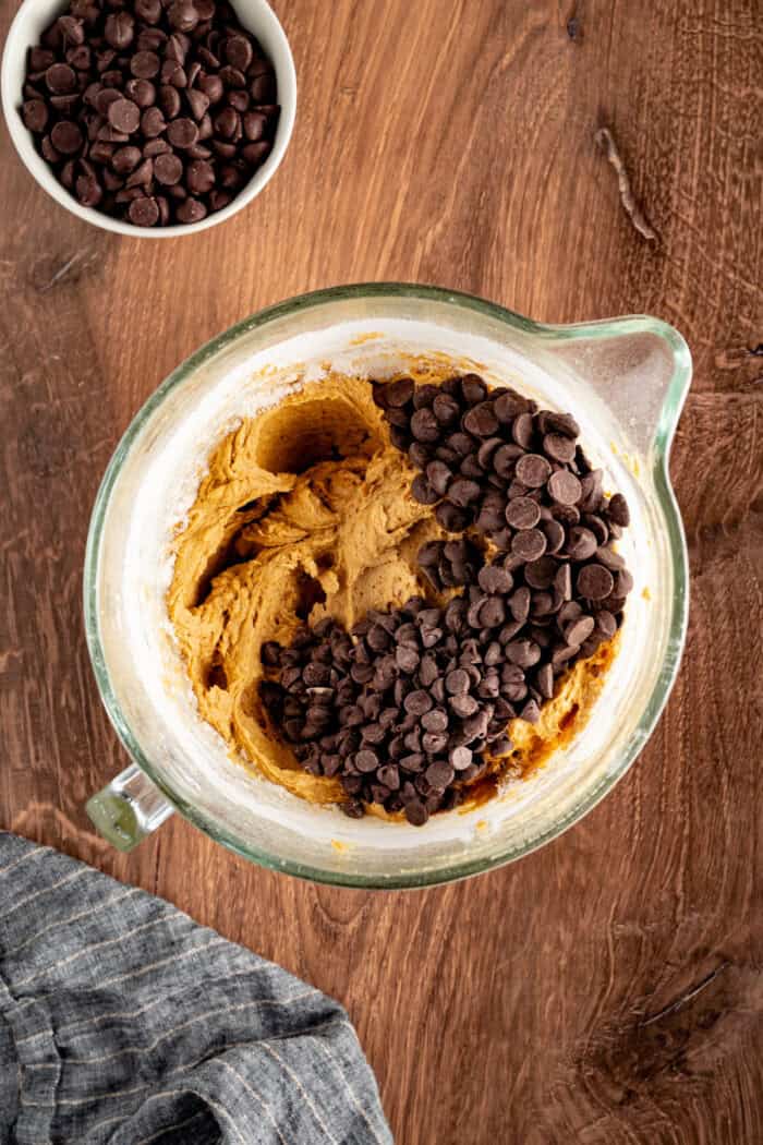 These Pumpkin Chocolate Chip Bars are soft, moist, and packed with cozy Fall flavor and melty chocolate chips! mixing in chocolate chips to the pumpkin batter