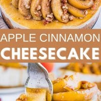 Apple Cinnamon Cheesecake made in an Instant Pot