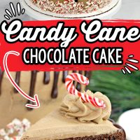 Chocolate Candy Cane Cake