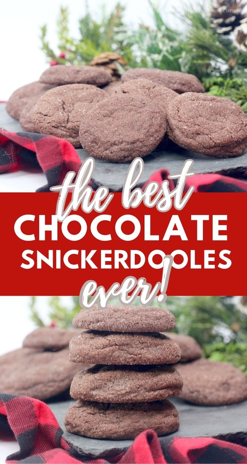 pinterest image for chocolate snickerdoodles