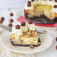 Instant Pot Malted Cheesecake