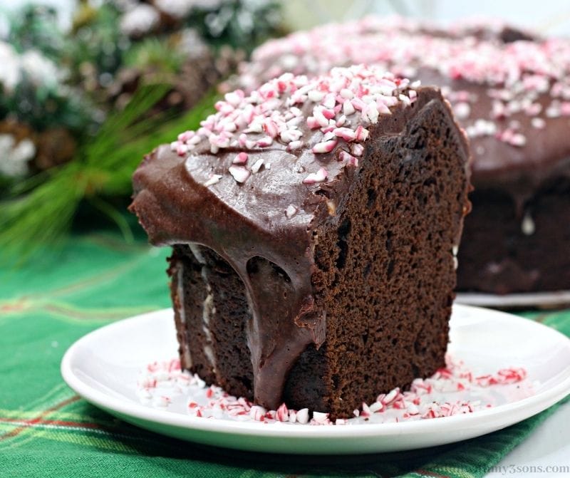 Peppermint Mocha Bundt Cake with snow frosted decorations behind it.