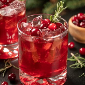 Cranberry Spritzer Cocktail feature