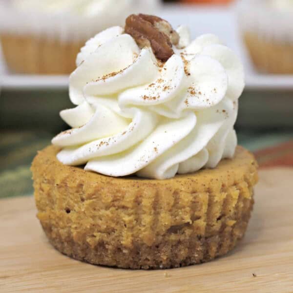 Mini Pumpkin Cheesecake feature