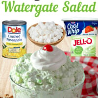 Easy Watergate Salad (5-ingredients)