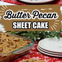 Butter Pecan Sheet Cake