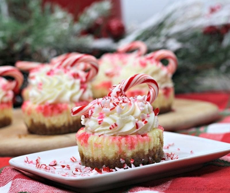 Mini Candy Cane Cheesecake on a serving plate.