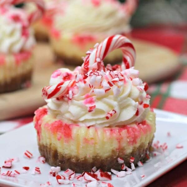 Mini candy cane Cheesecakes