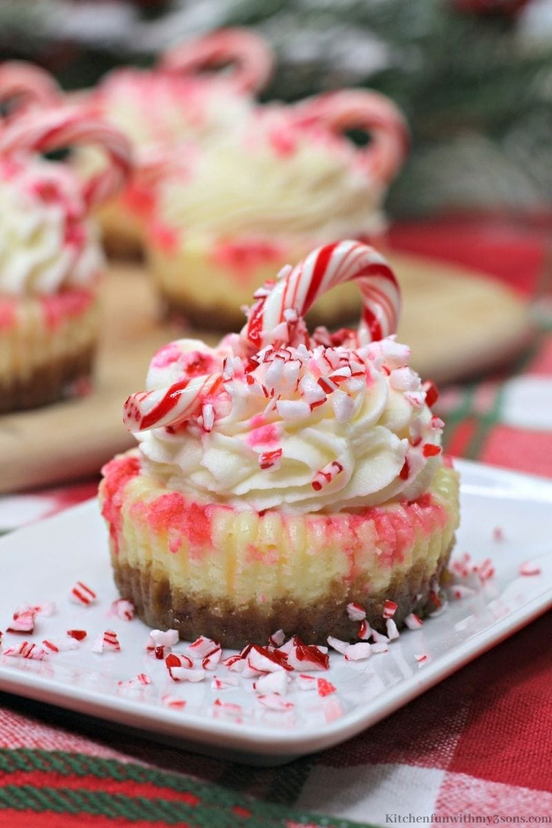 A up close image of one of the Mini Candy Cane Cheesecake.