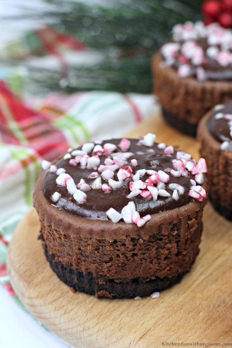 A close up of one of the Mini Chocolate Peppermint Cheesecakes.