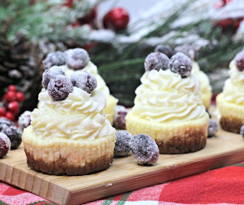 Sugared Cranberries Easy Mini Cheesecakes with snow frosted decorations in the back.