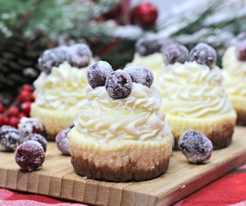 Sugared Cranberries Easy Mini Cheesecakes on a wooden board.