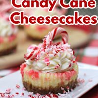 mini candy cane cheesecakes