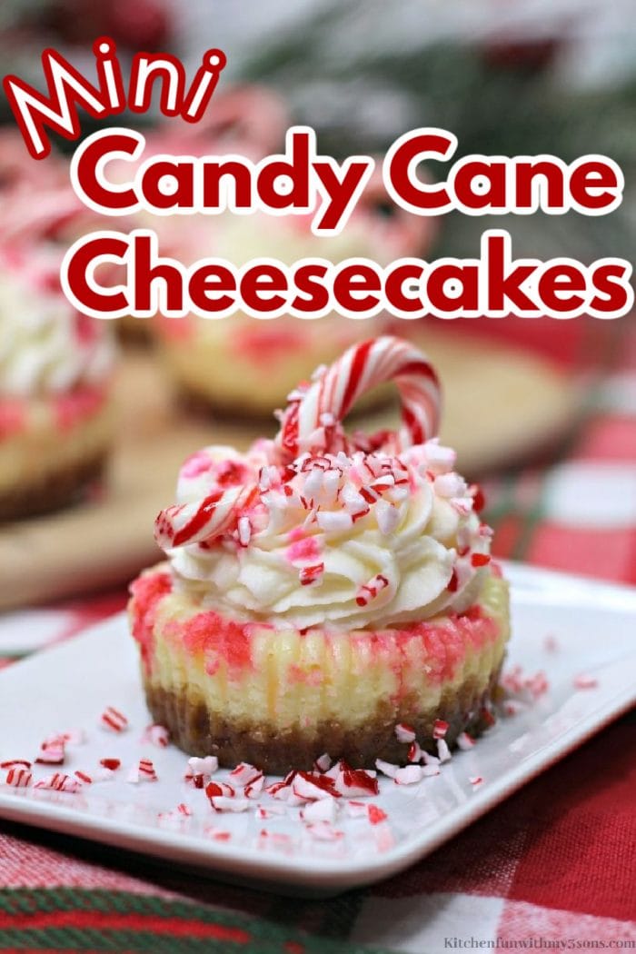 Mini Candy Cane Cheesecakes