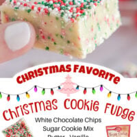Christmas Cookie Fudge Pin
