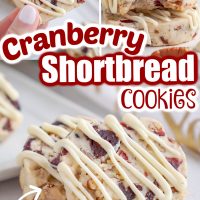 Cranberry Shortbread Cookies Pin