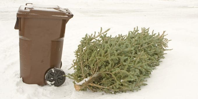 Christmas Tree Trash