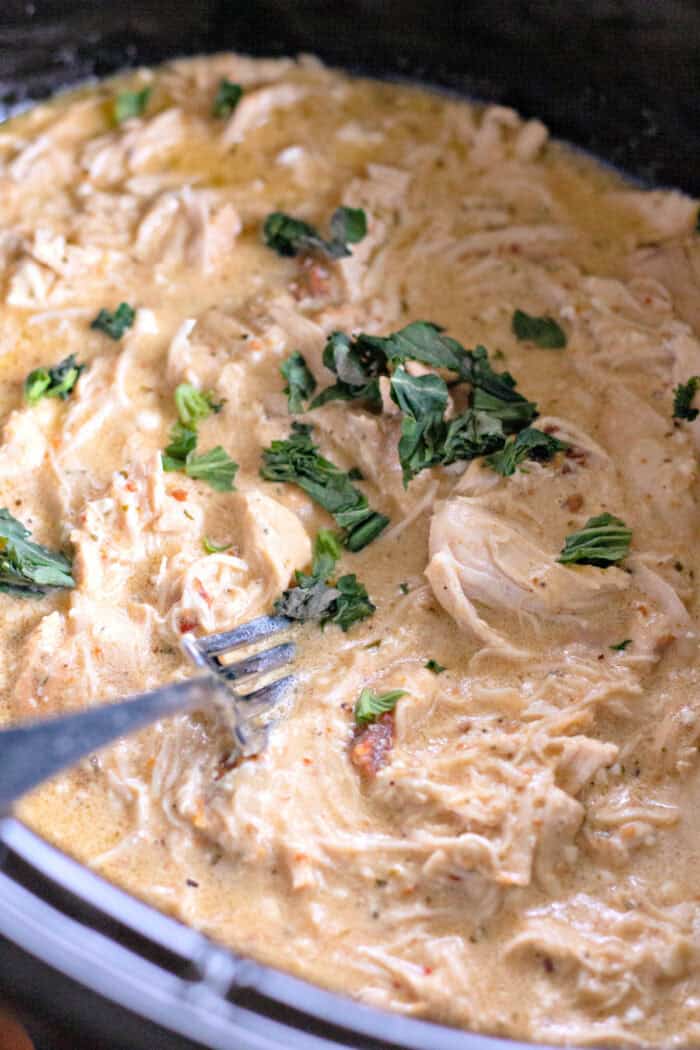 This Olive Garden Chicken Pasta is one of the easiest slow cooker dinners you'll ever make! shredding chicken in the slow cooker