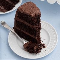 Best Chocolate Cake Recipe (Rich and Moist)