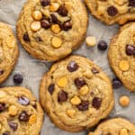 Butterscotch Cookies feature