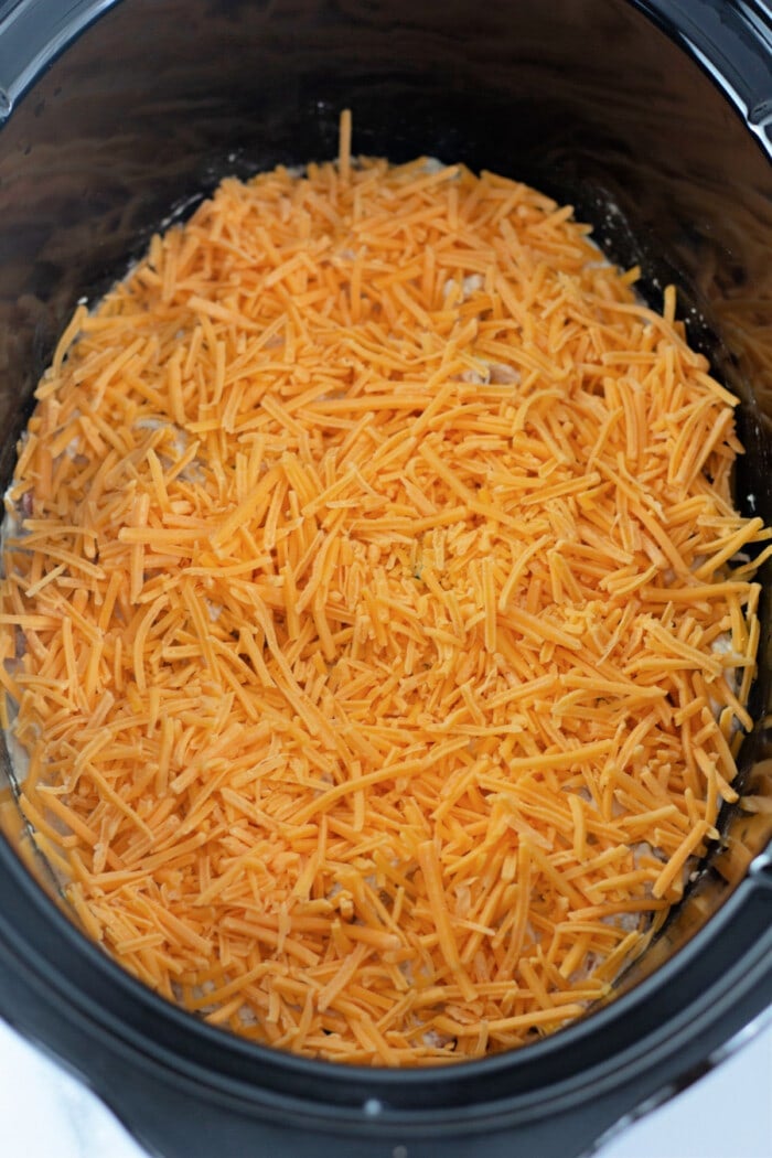 chicken mixture topped with cheese