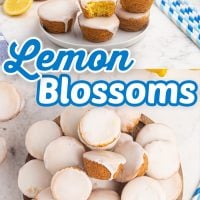 Lemon Mini Muffins are a delicious recipe for people who love lemon desserts Topped with a homemade glaze, this bite-sized treat is so good.