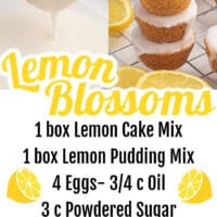 Lemon Blossoms Pin