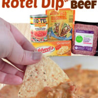Rotel Dip with Beef