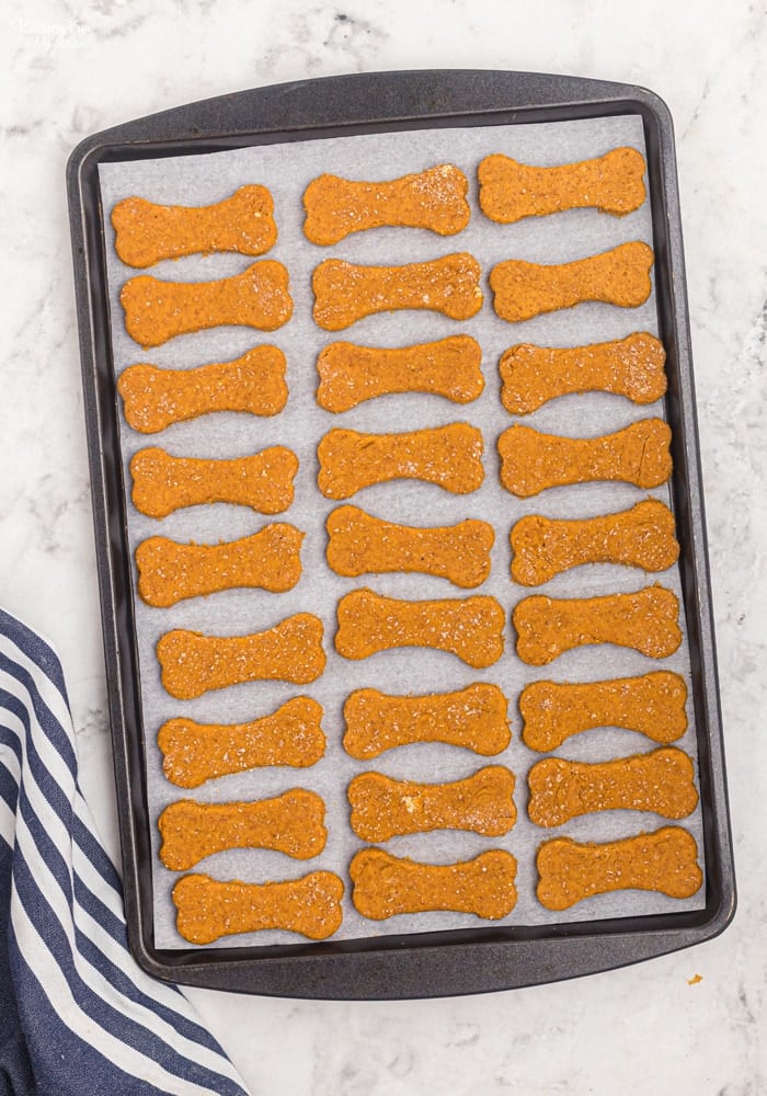 Homemade Dog Treats that pups adore! An easy recipe with peanut butter, pumpkin and absolutely no preservatives or questionable ingredients.