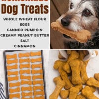 Homemade Dog Treats pin