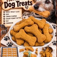 Homemade Dog Treats pin
