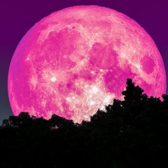 Pink Super Moon