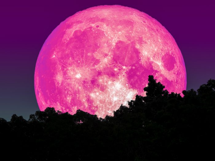 Pink Super Moon