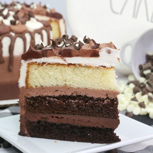 A piece of the chocolate cake sitting on a serving plate.