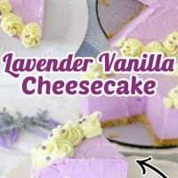 Lavender Cheesecake