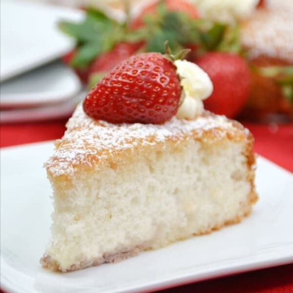 The cake on a white and red checkered cloth.
