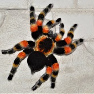 Crochet Spider