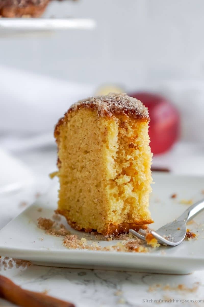 A piece of apple cider donut cake with a bite taken out it.