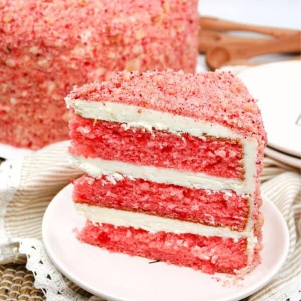 A piece of cake on a white serving plate.