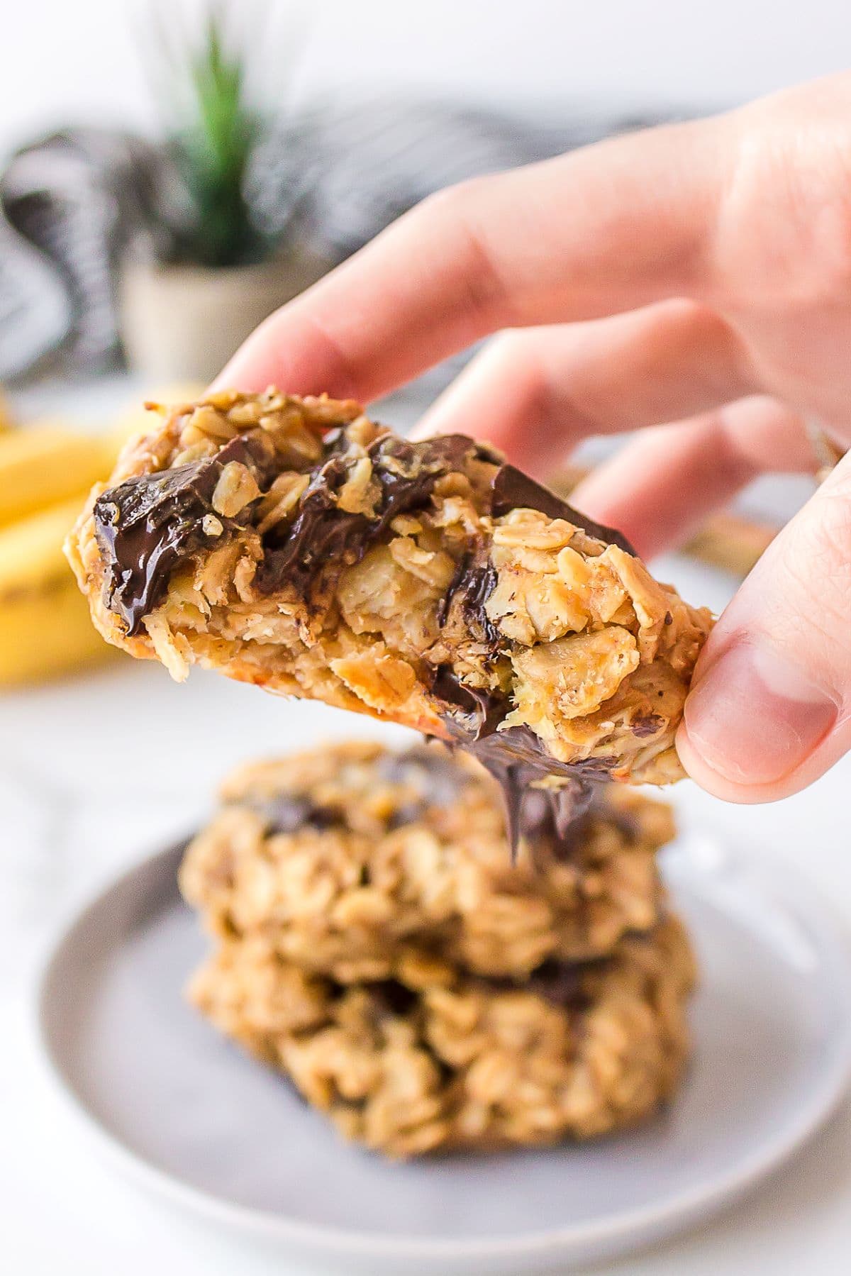 Three breakfast cookies, one with a bite taken from it.