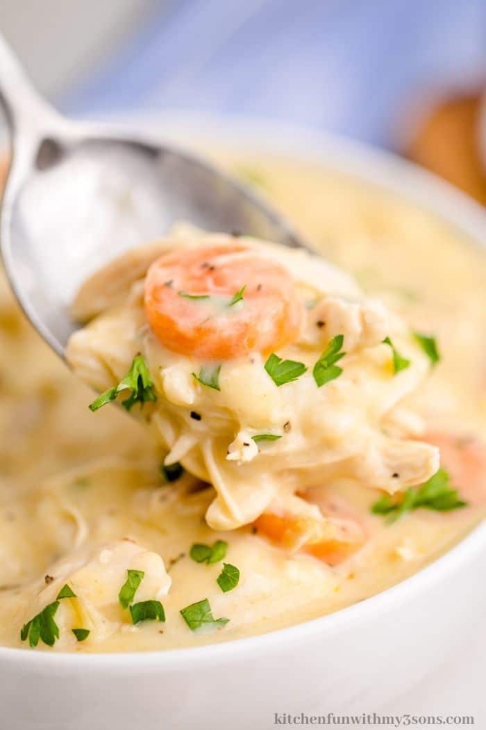 Spoonful of Chicken and Dumplings with Tortillas